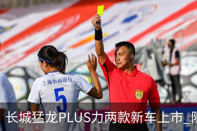 长城猛龙PLUS力两款新车上市 限时换新价17.78万元起